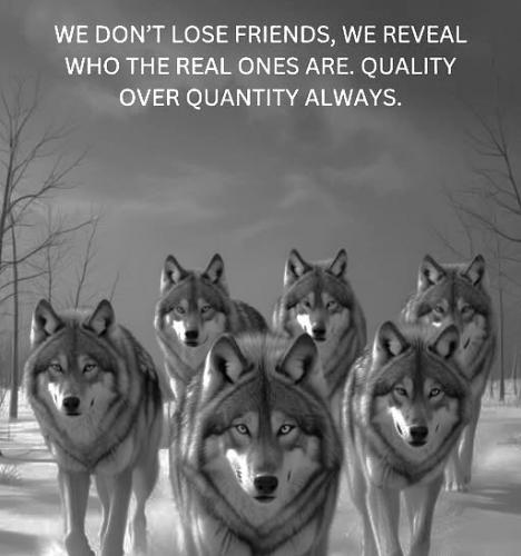 032025 - We reveal