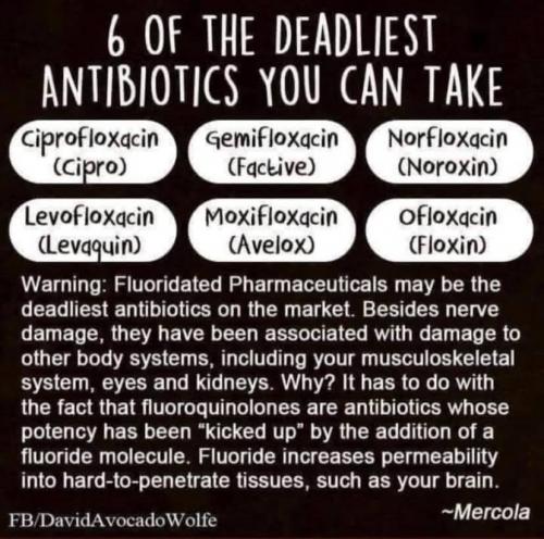 photo_2025-03-18_22-23-24