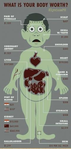 MAID in Canada 1 - What is your body worth 2022 - medium price