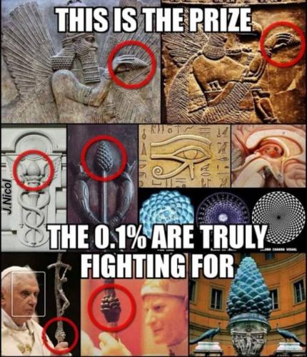 photo_2025-03-08_16-18-22