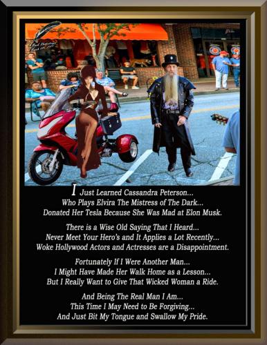 Icebear Q6 Trike ~Giving Elvira a Ride~