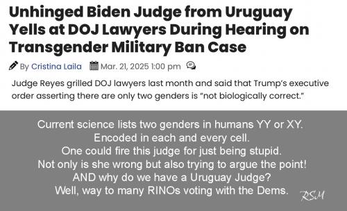 judge > 2 genders