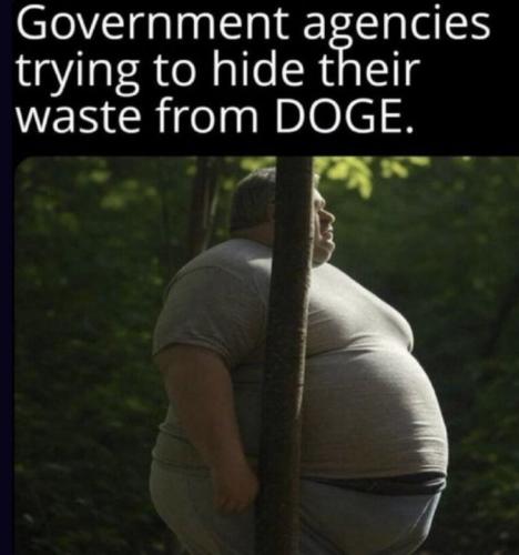 hide Gov waste