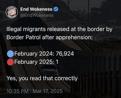 photo_2025-03-25_17-49-11