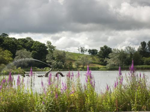 Llandrindod-Wells-800x600