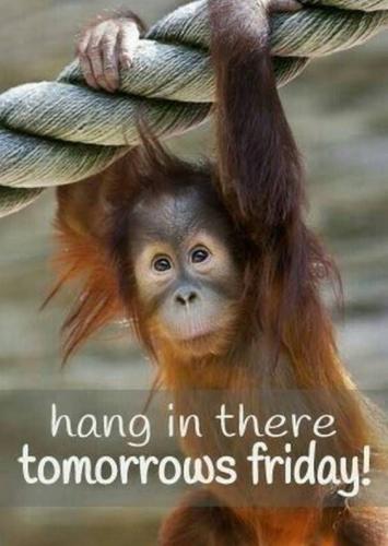 Hang in there
