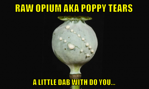roakaptaldwdy