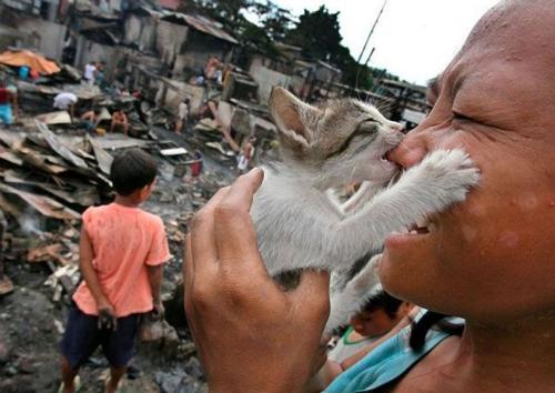 cat-bite