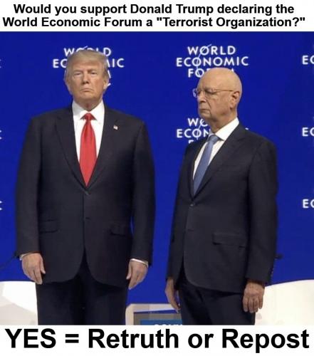 WEF terrorist organization.960px