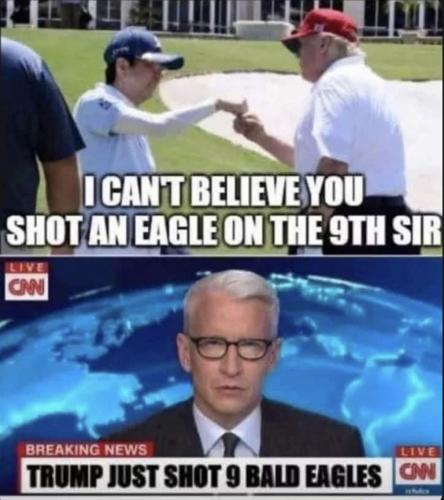 9 eagles