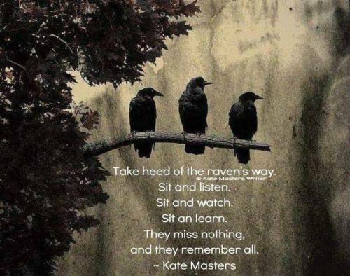 Take heed of the raven's way