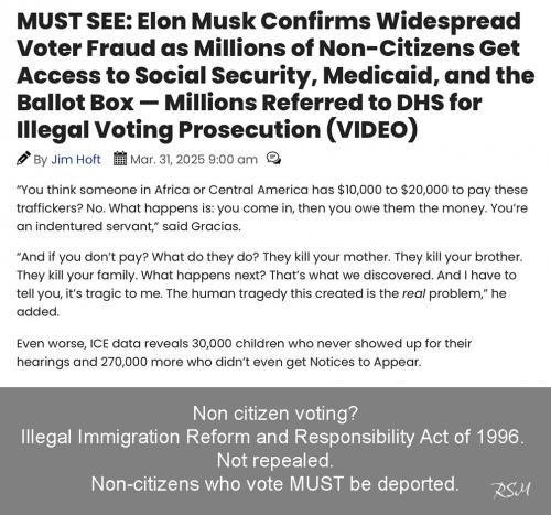 voter fraud +