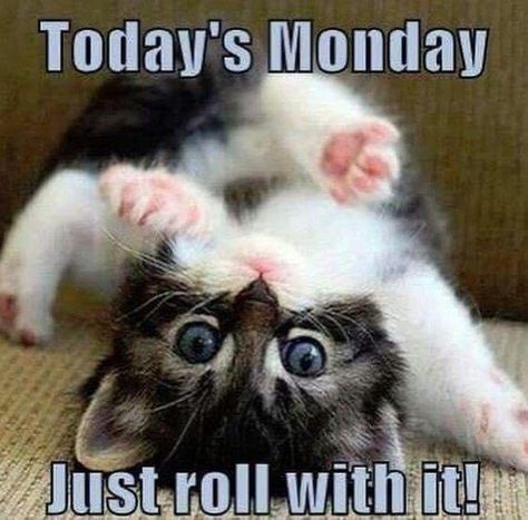 It's Monday