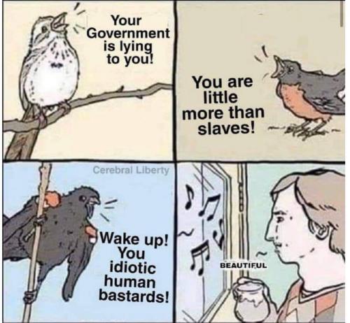 Canada Mad - Do you hear the bird of freedom