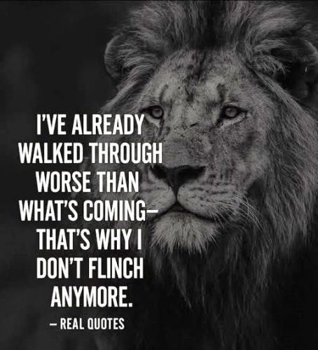 043025 - Flinch anymore