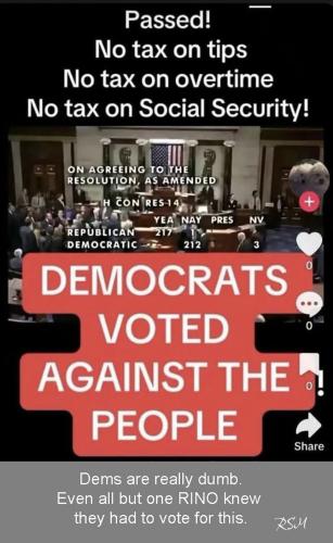 dems against us