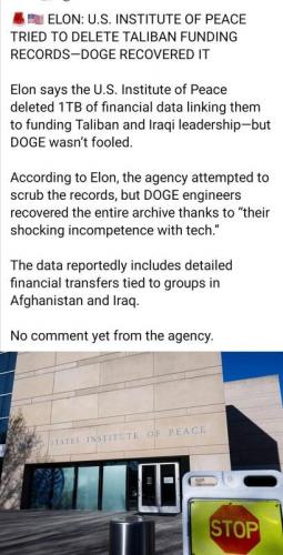 DOGE INSTITUTE OF PEACE