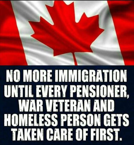 Immigration 2 - no more until assimilation is completed 1