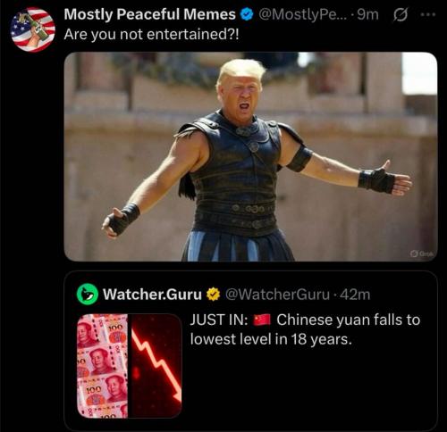 photo_2025-04-10_17-28-17