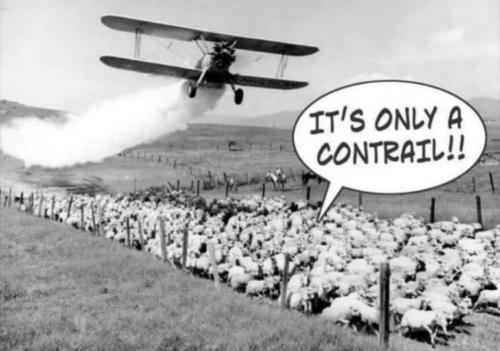 photo_2025-04-24_18-12-00