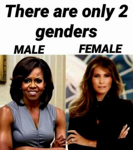 Only 2 Genders ~Male and Female~