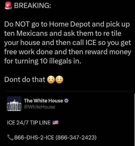 1000016531