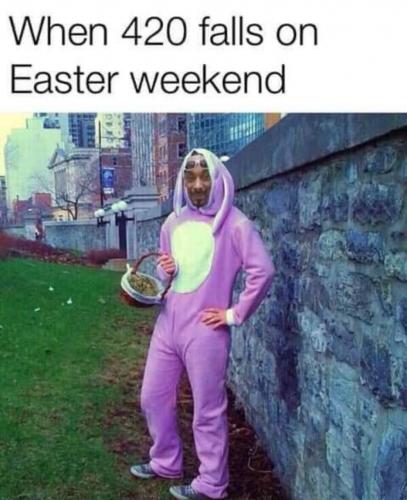 photo_2025-04-19_23-29-34