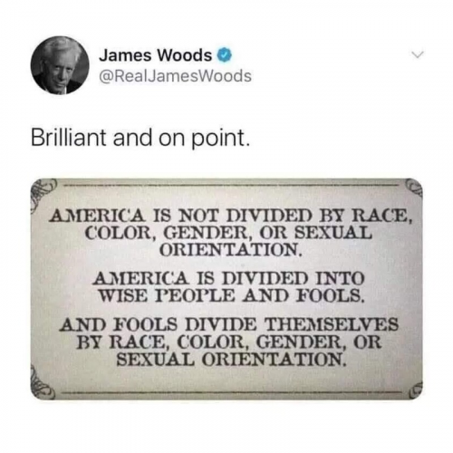 America is divided by fools