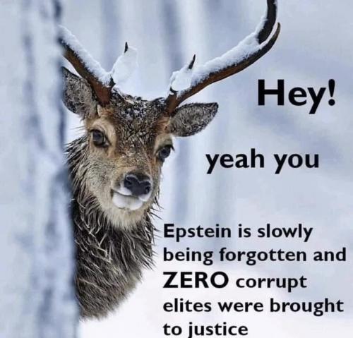 photo_2025-04-01_22-29-20