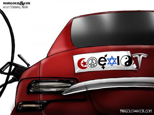 tesla pigs