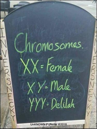 chromosomes