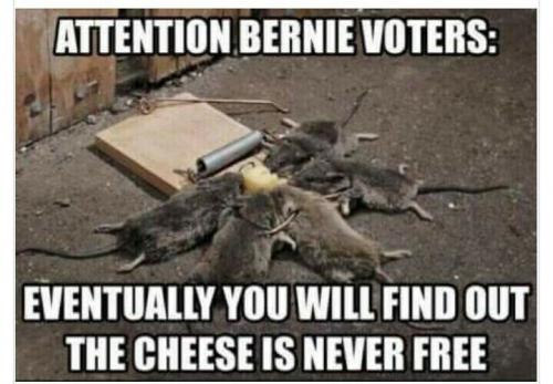 ATTN BERNIE VOTERS   TS