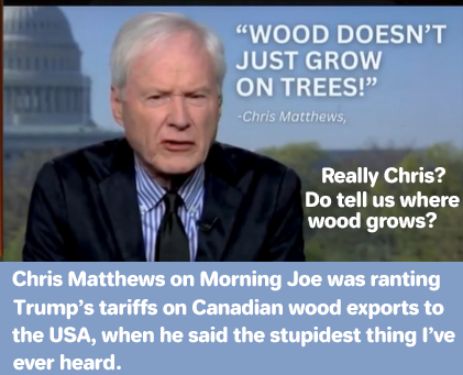 No wood on trees