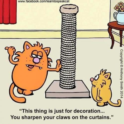 Decoration