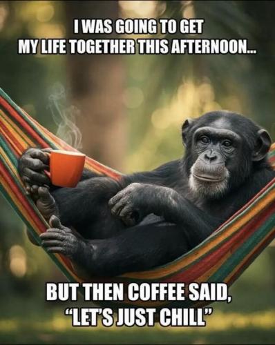 Coffee mw