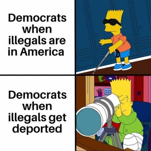 illegals