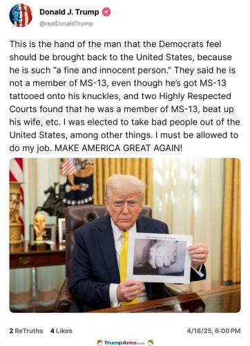 ms13