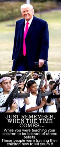 Trump Wisdom