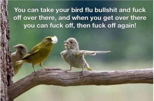 photo_2025-04-25_18-11-01