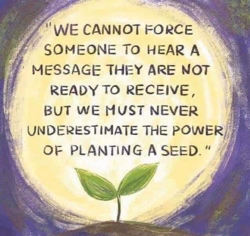 Planting a seed KW
