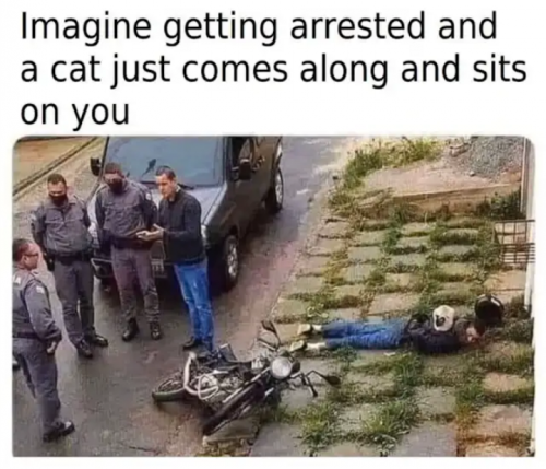 802