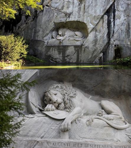 lion