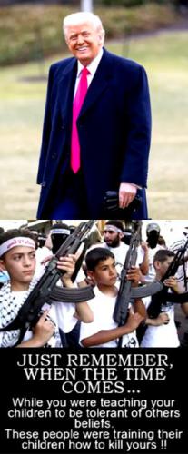 Trump Wisdom