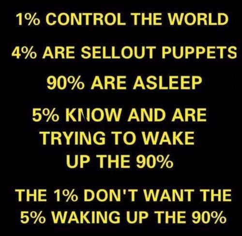 Globalism 22 - we are the three percenters