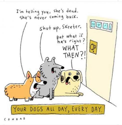 yourdogs