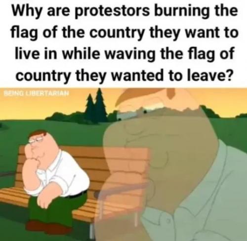 1000087138