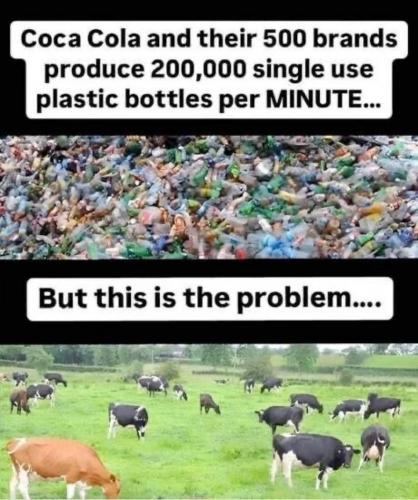 photo_2025-04-22_15-09-56