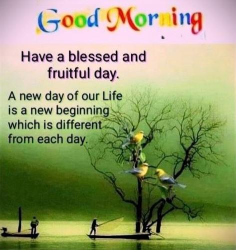 041525 - New day gratitude