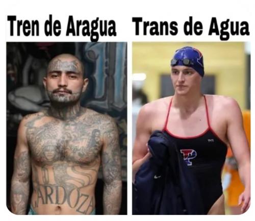 trans