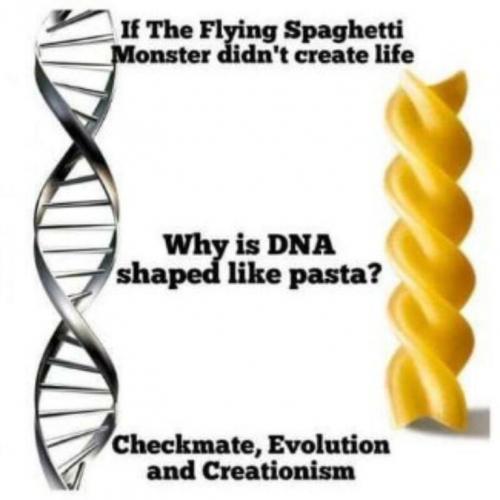 fsm